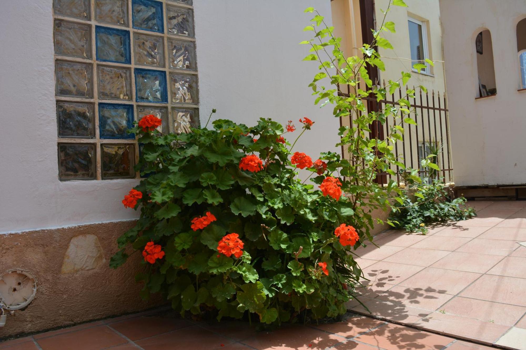 Giorgos Aparthotel